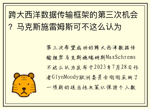 跨大西洋数据传输框架的第三次机会？马克斯施雷姆斯可不这么认为